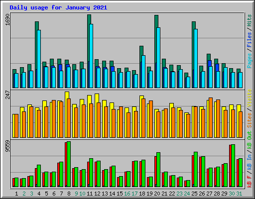 Daily usage for January 2021