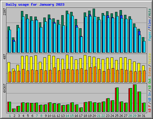 Daily usage for January 2023