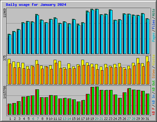 Daily usage for January 2024