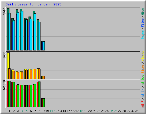 Daily usage for January 2025