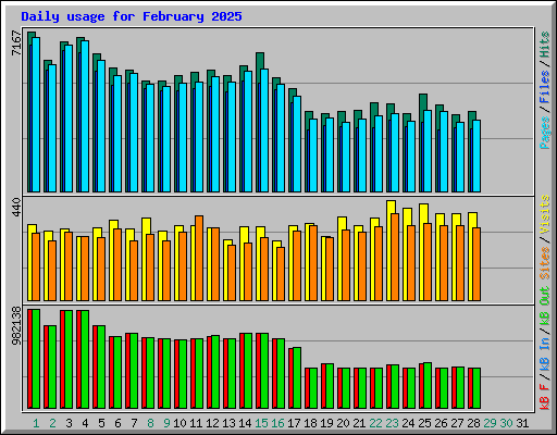 Daily usage for February 2025