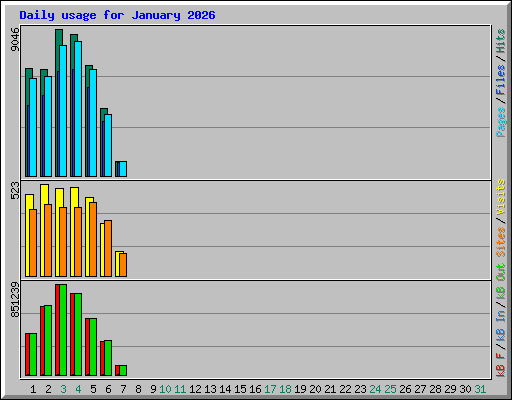 Daily usage for January 2026
