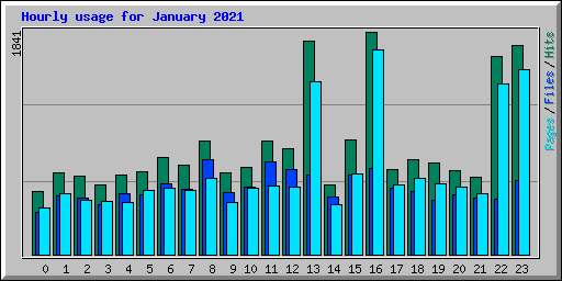 Hourly usage for January 2021