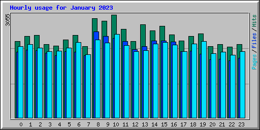 Hourly usage for January 2023