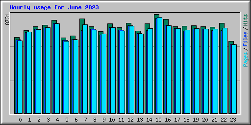 Hourly usage for June 2023