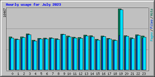 Hourly usage for July 2023