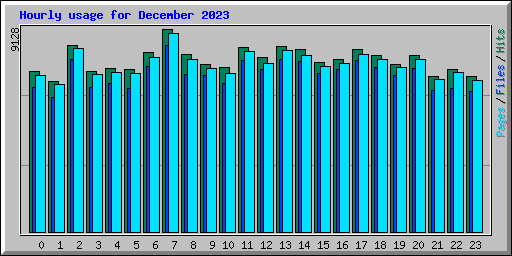 Hourly usage for December 2023