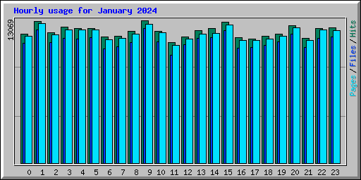 Hourly usage for January 2024