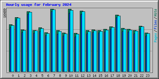 Hourly usage for February 2024