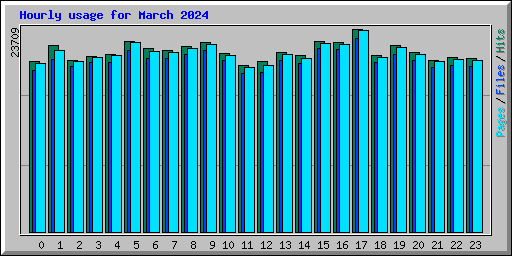 Hourly usage for March 2024