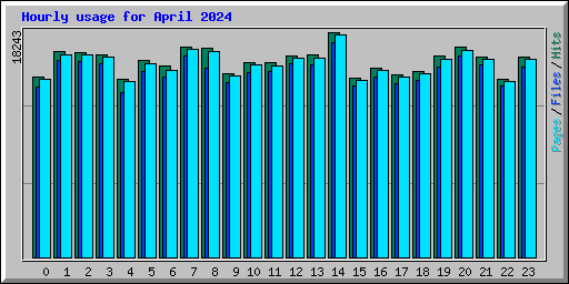 Hourly usage for April 2024