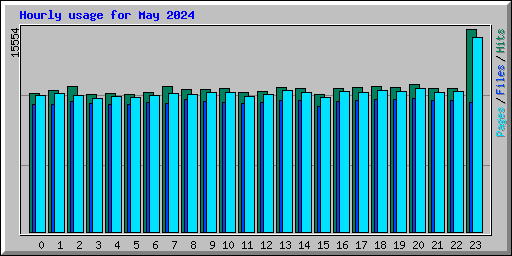 Hourly usage for May 2024