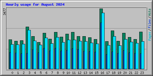 Hourly usage for August 2024