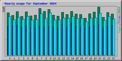 Hourly usage for September 2024