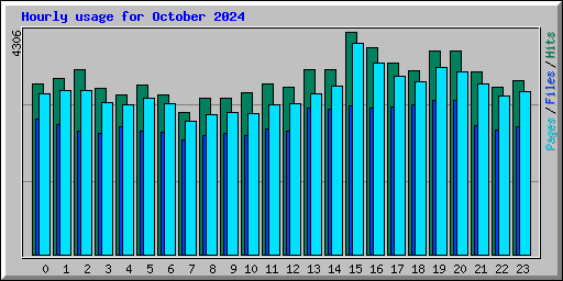 Hourly usage for October 2024