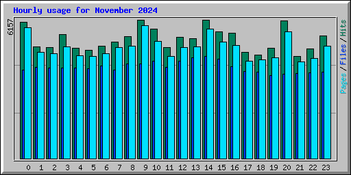 Hourly usage for November 2024