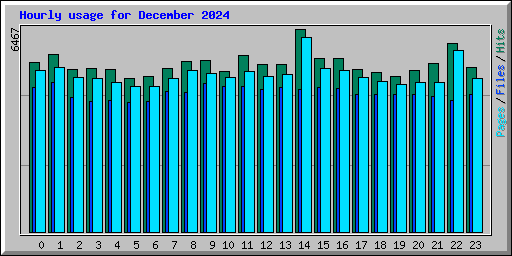 Hourly usage for December 2024