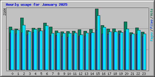 Hourly usage for January 2025