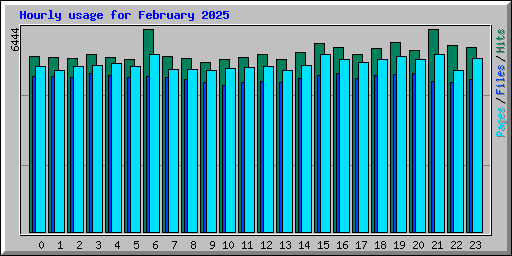 Hourly usage for February 2025