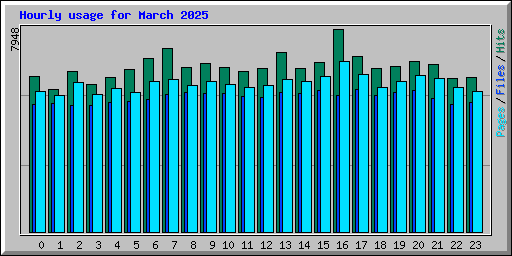 Hourly usage for March 2025