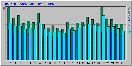 Hourly usage for April 2025