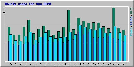 Hourly usage for May 2025