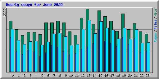Hourly usage for June 2025