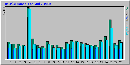 Hourly usage for July 2025