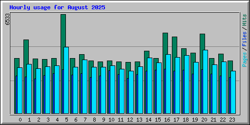 Hourly usage for August 2025