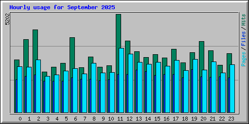 Hourly usage for September 2025