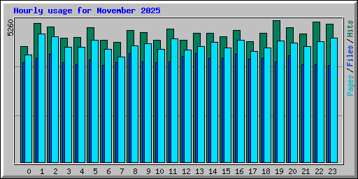 Hourly usage for November 2025