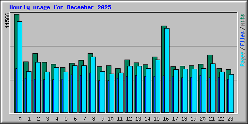 Hourly usage for December 2025
