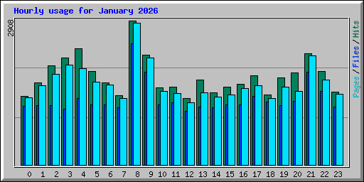 Hourly usage for January 2026