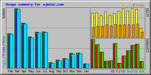 Usage summary for ajminc.com